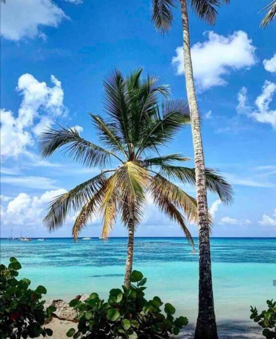 Starfish Apartamento Punta Cana