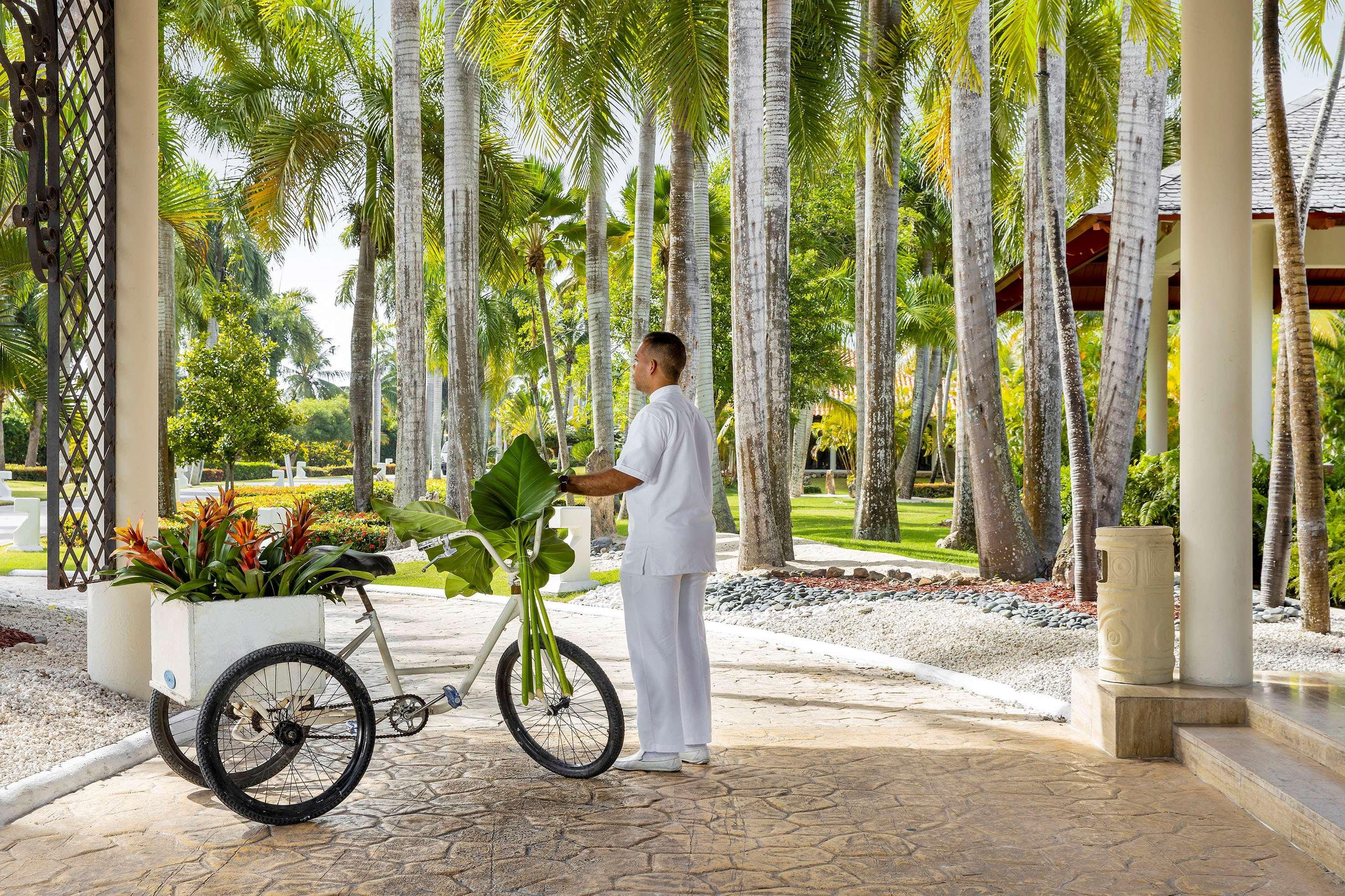Paradisus 4*