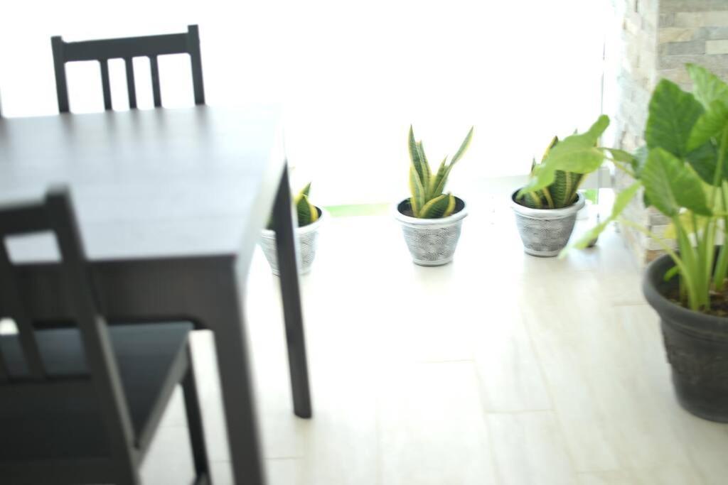 Apartamento Pm New Dream ,by The By The Shops Punta Cana