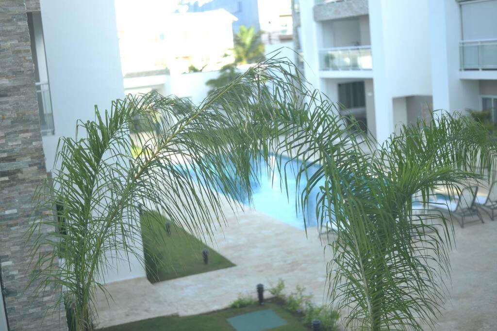 Pm New Dream ,by The By The Shops Punta Cana