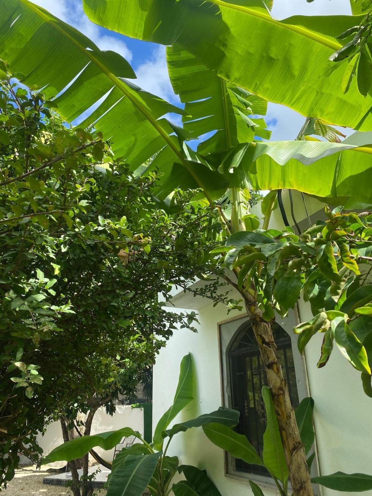 Villa Dmm Con Piscina, Jacuzzi Y Gran Area En *