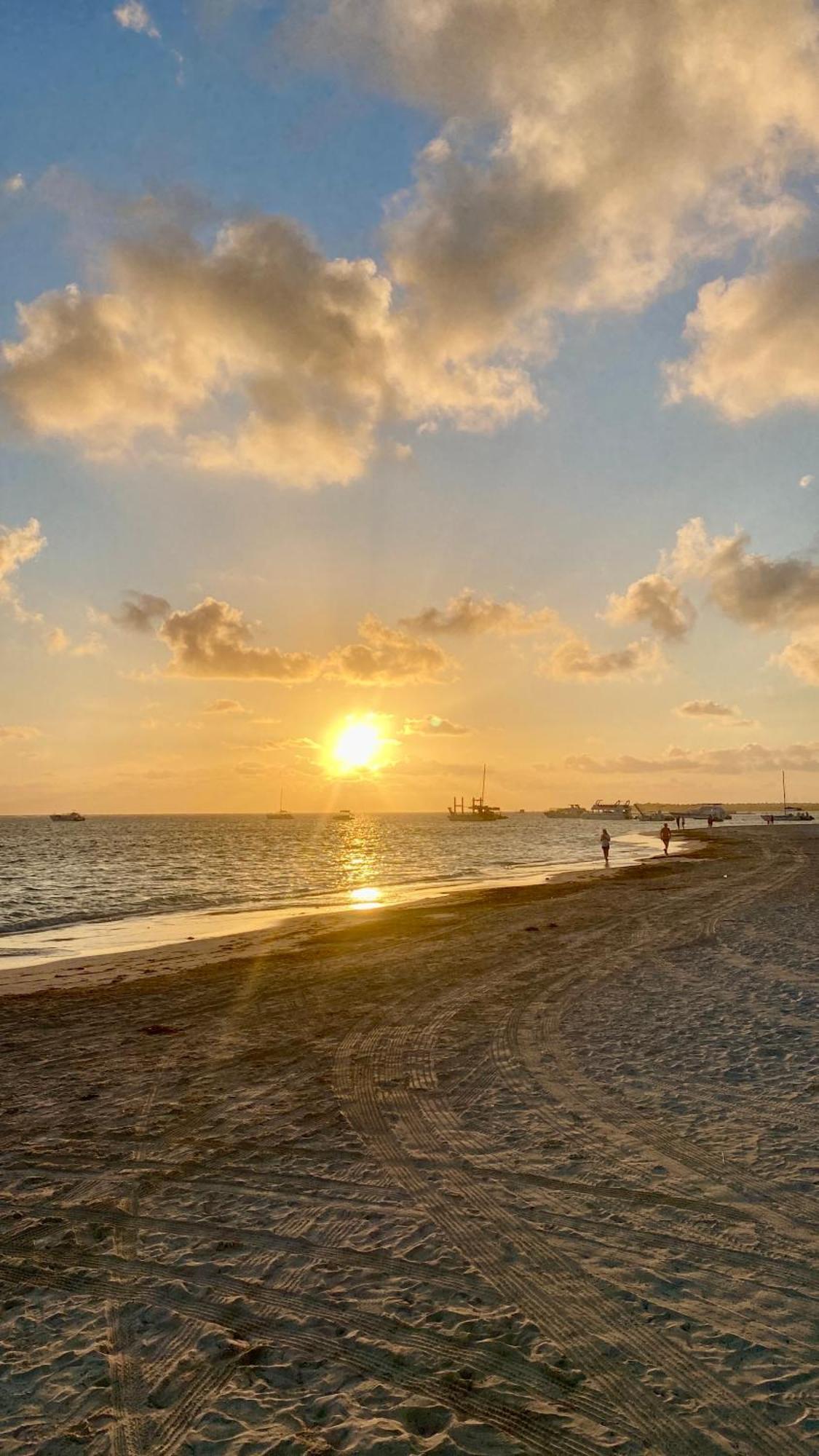 Apartment The Perfect Place For In Corales Rd