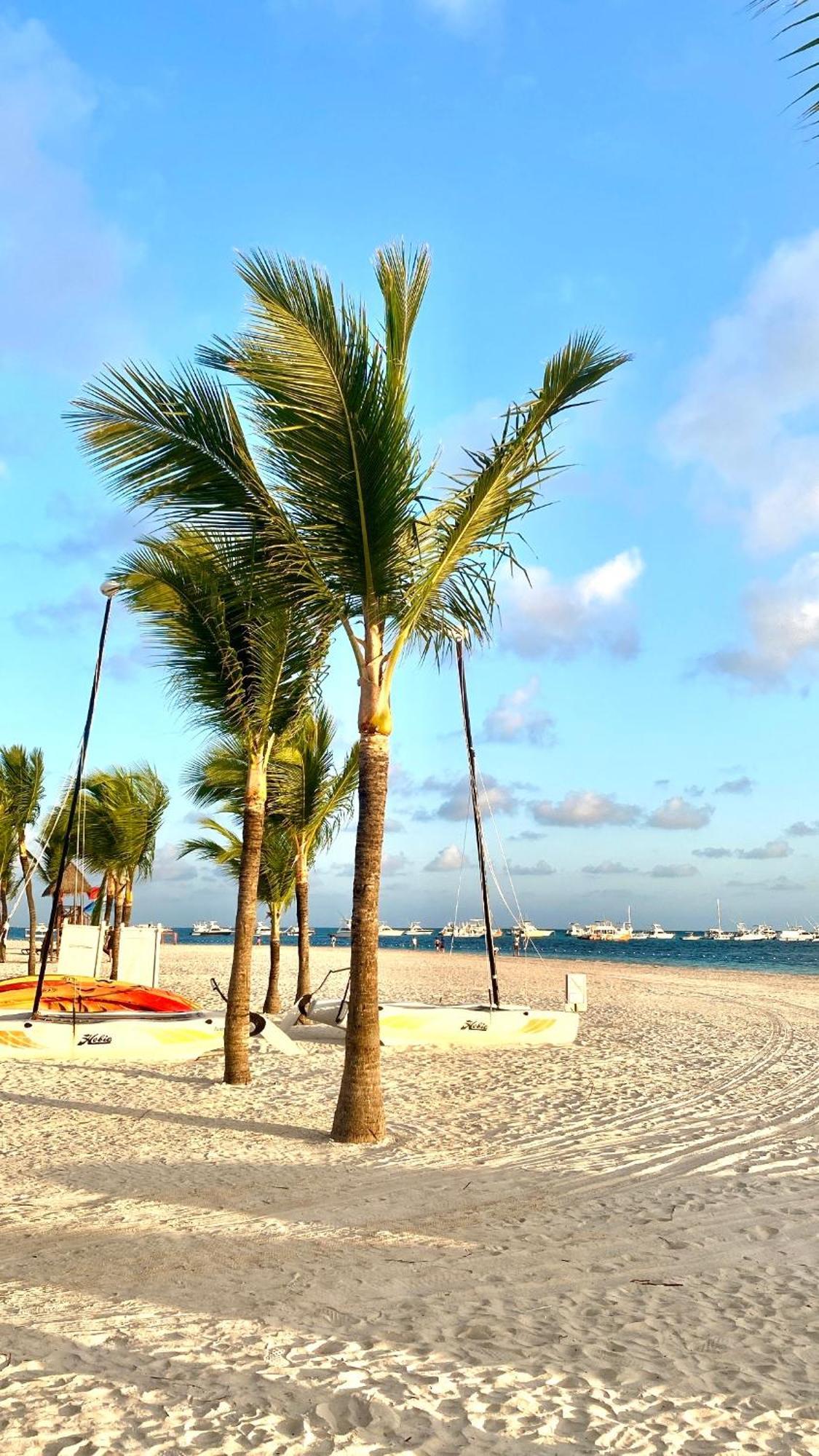 The Perfect Place For In Corales Rd
