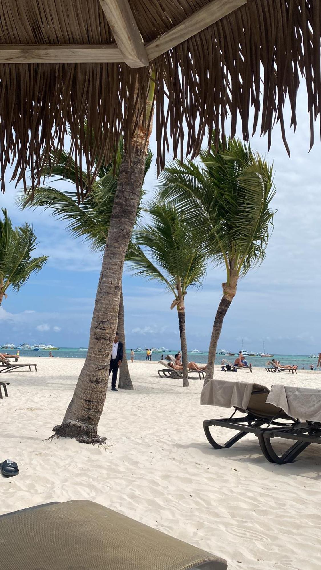 Apartment The Perfect Place For In Corales Rd