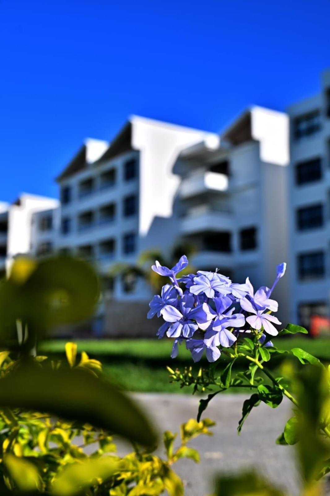 Exclusive In Punta Cana! * Punta Cana
