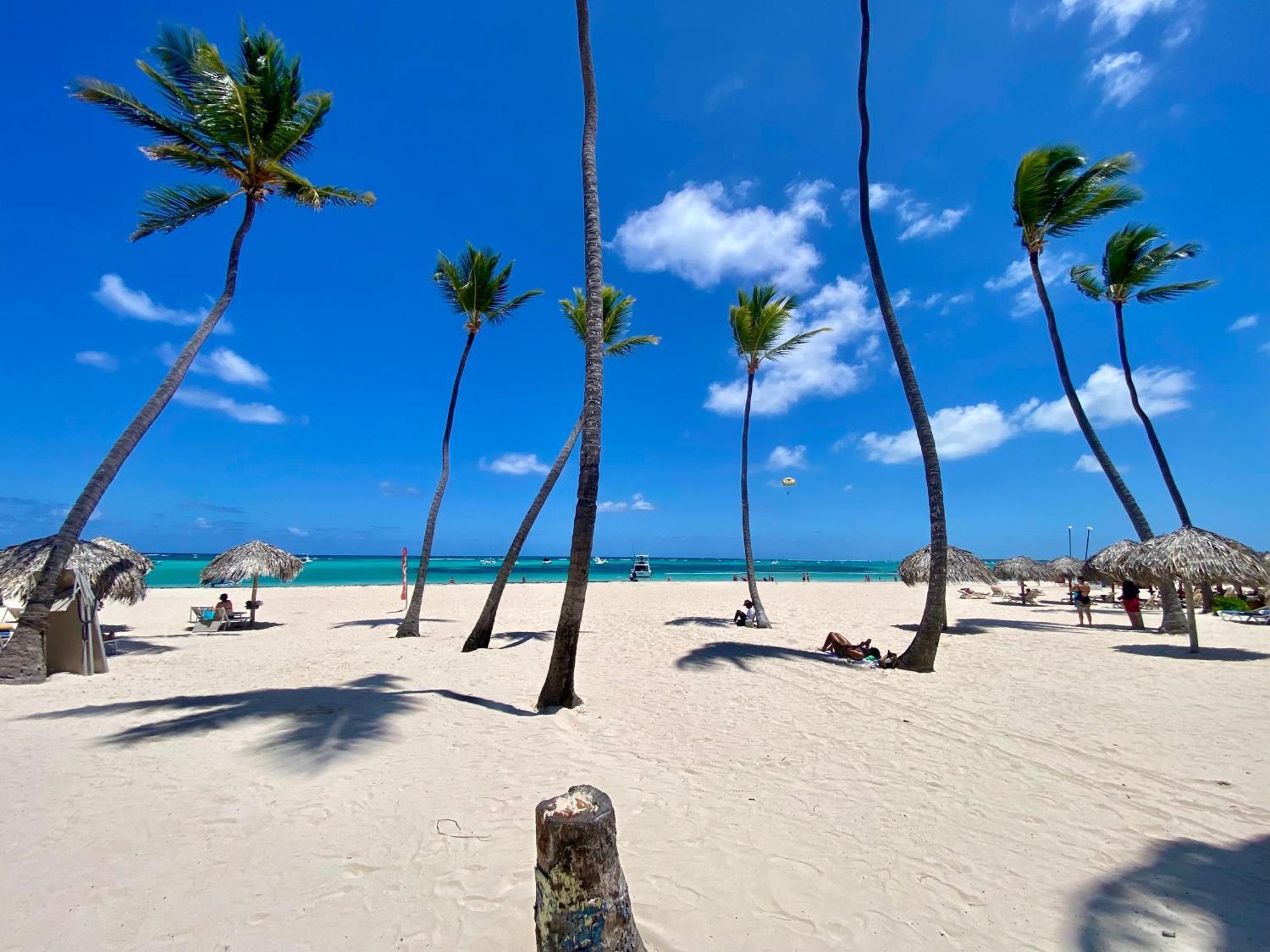Apartment The Perfect Place For In Corales Rd *